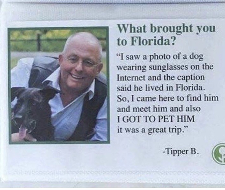 reasons you came to florida - What brought you to Florida? I saw a photo of a dog wearing sunglasses on the Internet and the caption said he lived in Florida. So, I came here to find him and meet him and also I Got To Pet Him it was a great trip." Tipper 