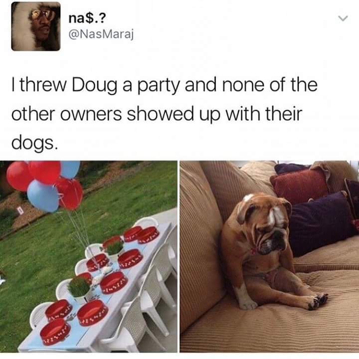 threw doug a party - na$.? I threw Doug a party and none of the other owners showed up with their dogs.