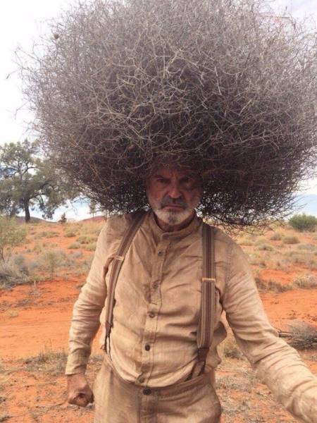 man with tumbleweed on his head