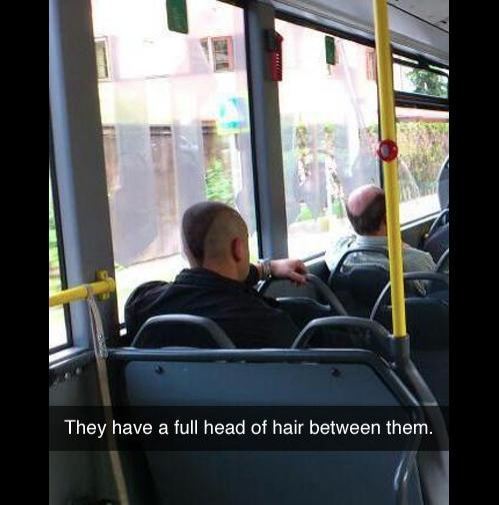 funny hair bus - They have a full head of hair between them.