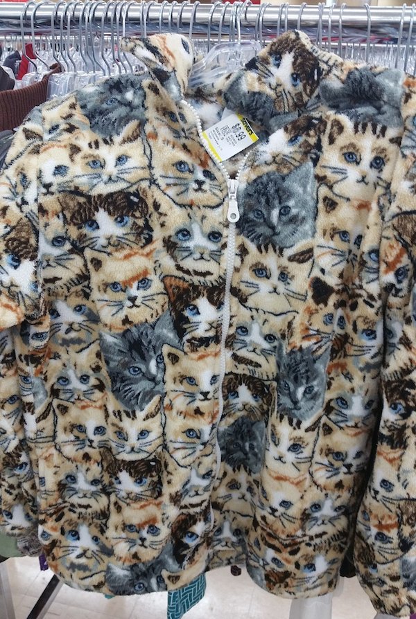43 Oddly Awesome Finds At The Thrift Store