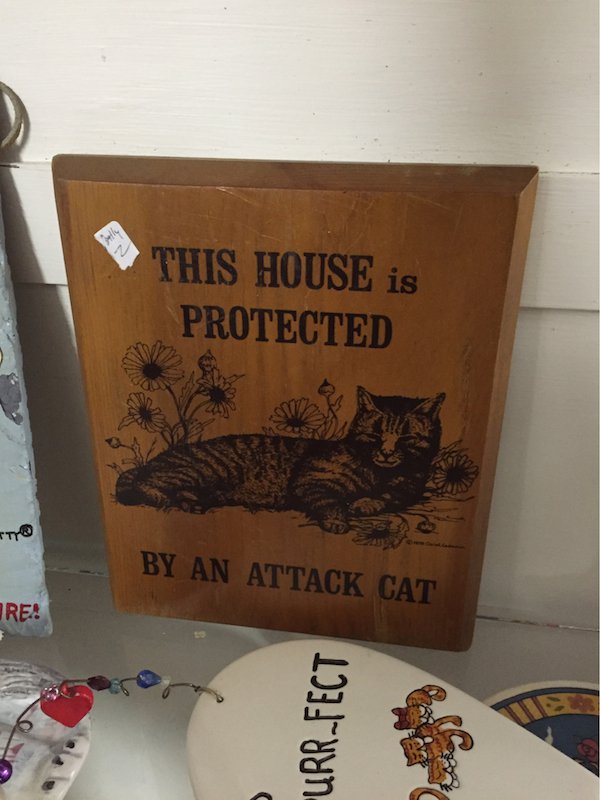 43 Oddly Awesome Finds At The Thrift Store