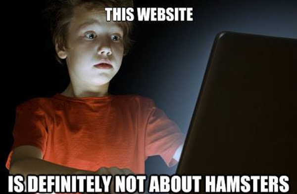 hot singles in my area meme - This Website Is Definitely Not About Hamsters