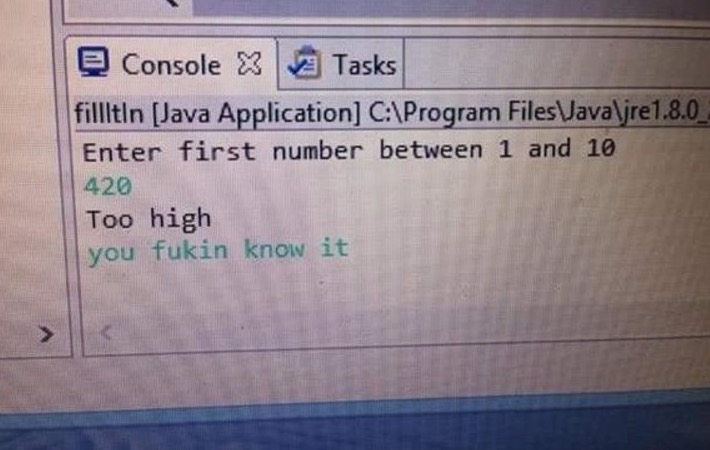 amazing picture of number - Console X Tasks fillltin Java Application C\Program FilesVavaljre1.8.0 Enter first number between 1 and 10 420 Too high you fukin know it
