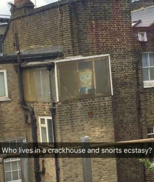 lives in a crackhouse and snorts ecstasy - Who lives in a crackhouse and snorts ecstasy?