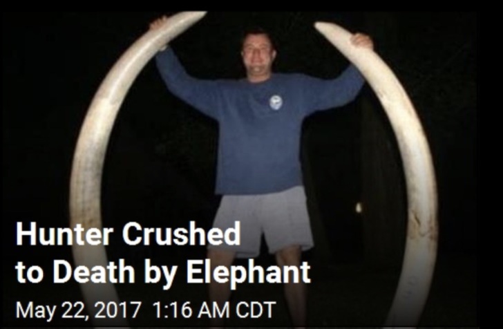 arm - Hunter Crushed to Death by Elephant Cdt