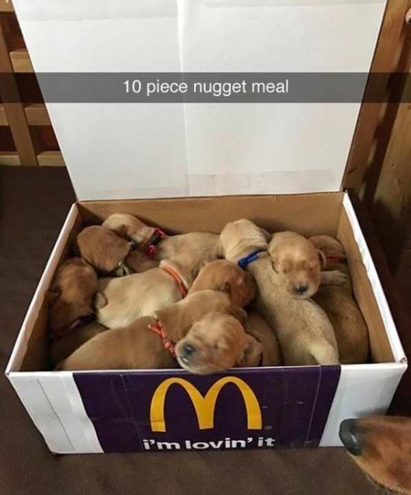 puppy nuggets - 10 piece nugget meal i'm lovinit
