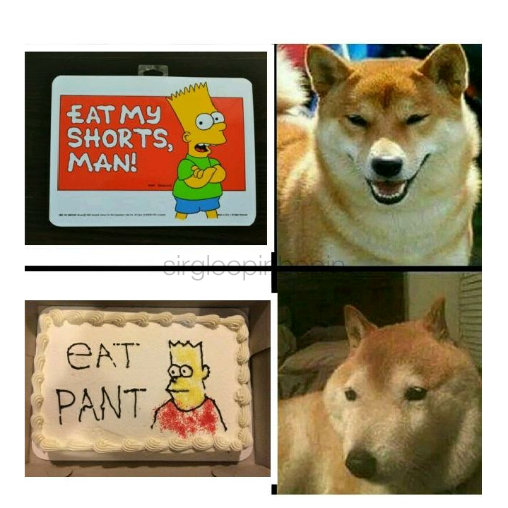 cool eat pant meme - Eat My Shorts, Man! Cat Pant