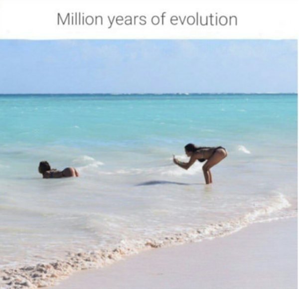cool millions of years of evolution - Million years of evolution