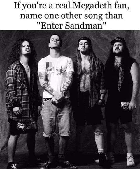 cool pic pantera band - If you're a real Megadeth fan, name one other song than "Enter Sandman"