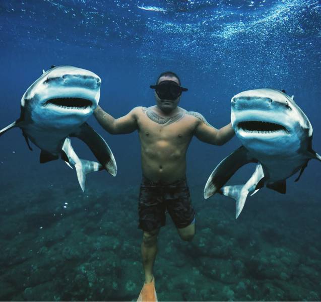 Man posing with two smiling sharks.