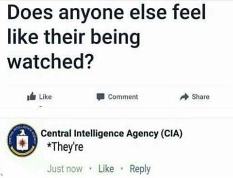 Someone asks if anyone else feel like their being watched and CIA corrects them They're