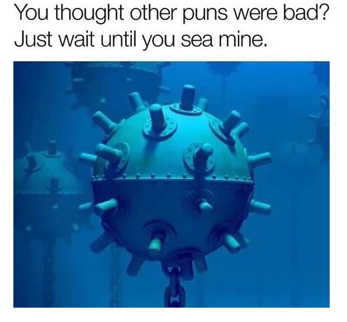 The most amazing pun you'll ever see, until you sea mine.
