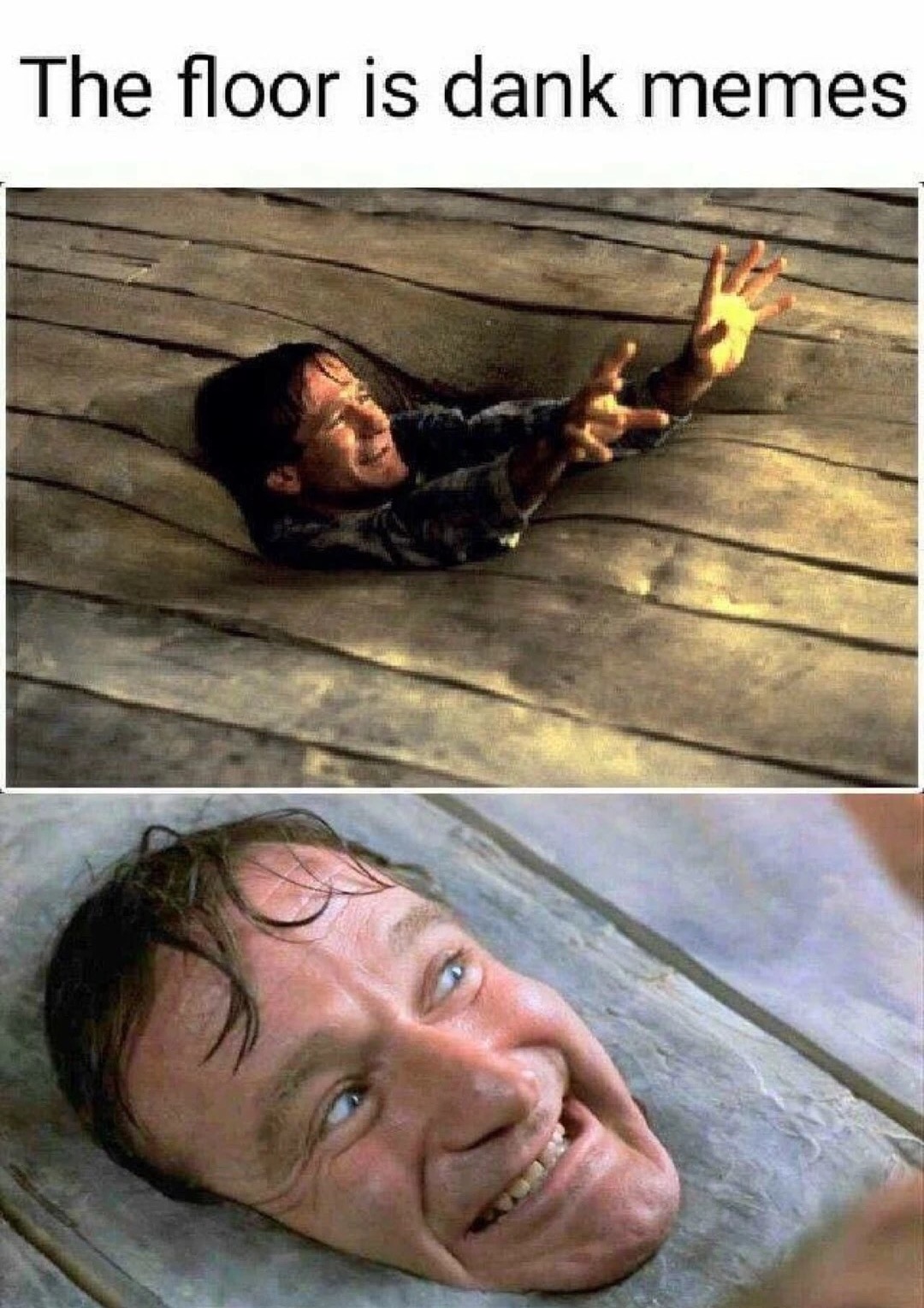 The Floor is Dank Memes with Robin Williams at first fighting being sucked into the floor, but then enjoying it.
