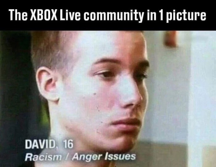 Screen grab of a boy named David who is 16 years old and has Racism and Anger issues captioned as the XBOX Live community.