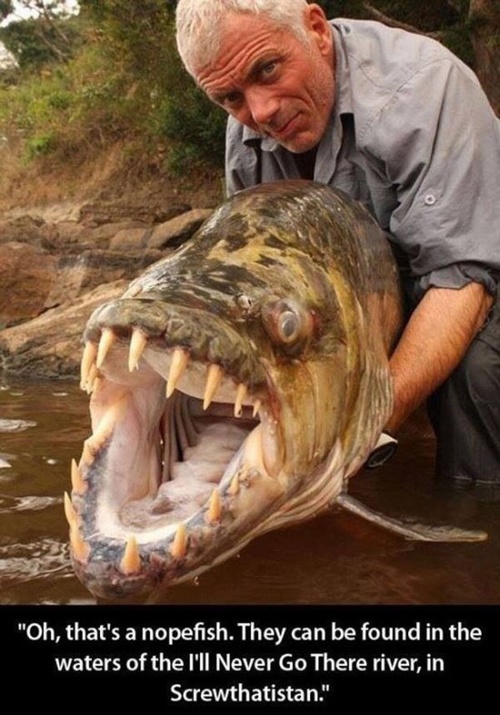 Man holding the NOPE fish, with giant NOPE teeth and never want to see it face