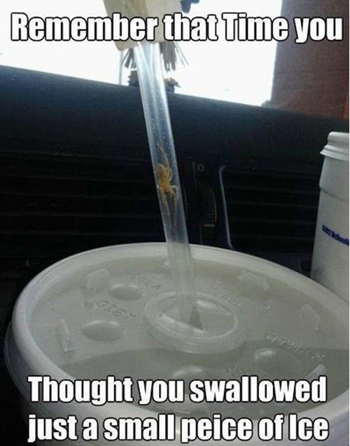 Meme about that time you thought you swallowed a piece of ice with a pic of a spider stuck in a straw from a soft drink.