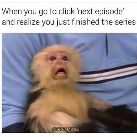 Shocked monkey meme about how it feels to click on next episode and realize you just finished the series.