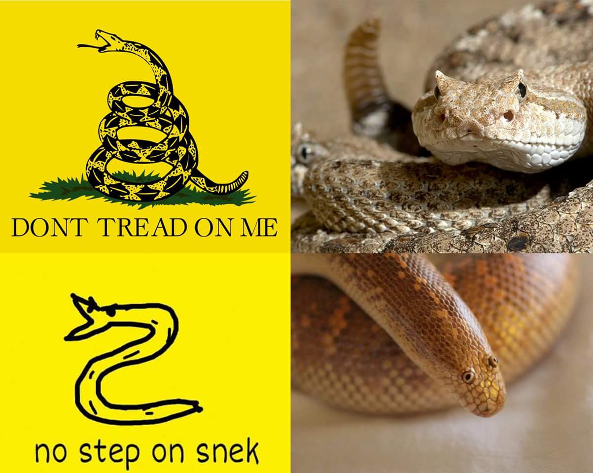 don't tread on me VS don't step on snake