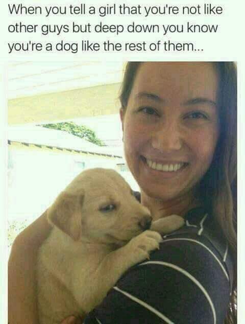 but you re a dog meme - When you tell a girl that you're not other guys but deep down you know you're a dog the rest of them...