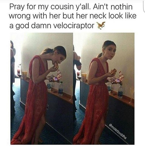 funny cousin memes - Pray for my cousin y'all. Ain't nothin wrong with her but her neck look a god damn velociraptor moistbuddha