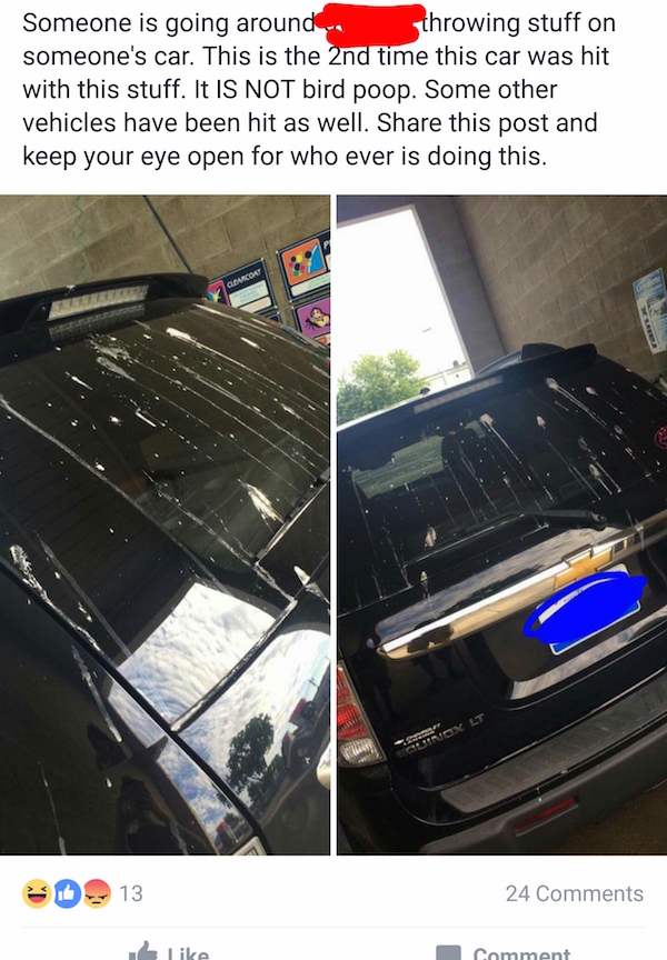 Someone who thinks their car was vandalized but it was clearly bird poop