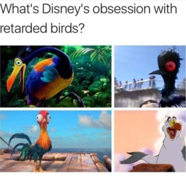 Meme questioning Disney's obsession with retarded bird characters.