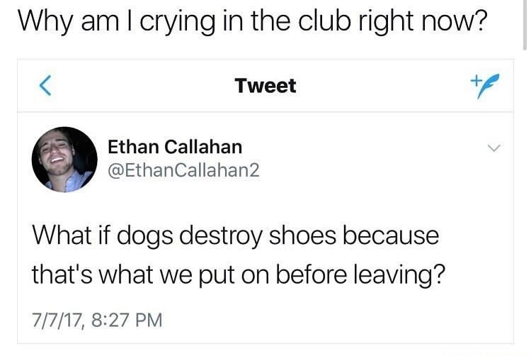 Sad tweet by Ethan Callahan about how dogs maybe destroy shoes because that is what we put on before leaving them for the day.
