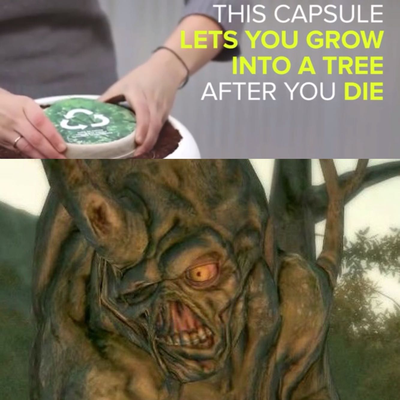 harold fallout 4 - This Capsule Lets You Grow Into A Tree After You Die