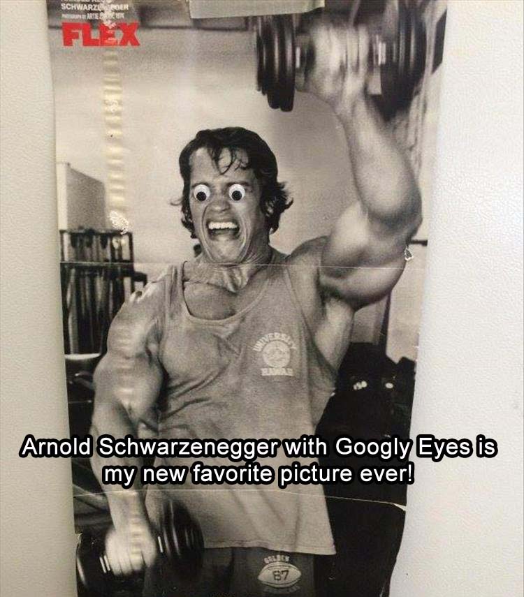 arnold schwarzenegger googly eyes - Schwarzerger Te Arnold Schwarzenegger with Googly Eyes is my new favorite picture ever!