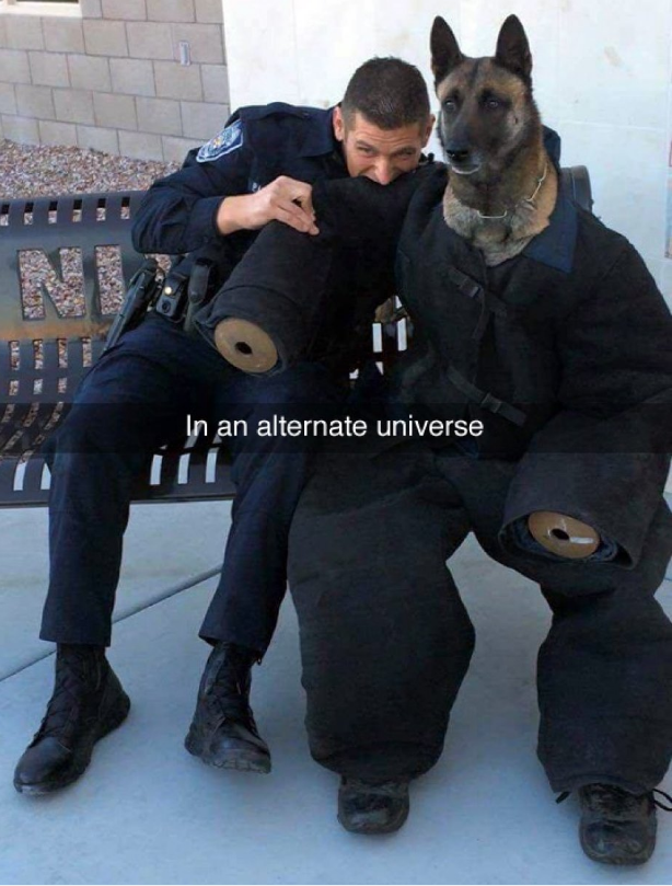 policeman biting dog - In an alternate universe