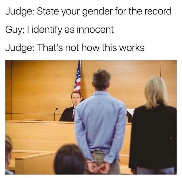 Court meme of someone identifying as gender innocent to the judge.