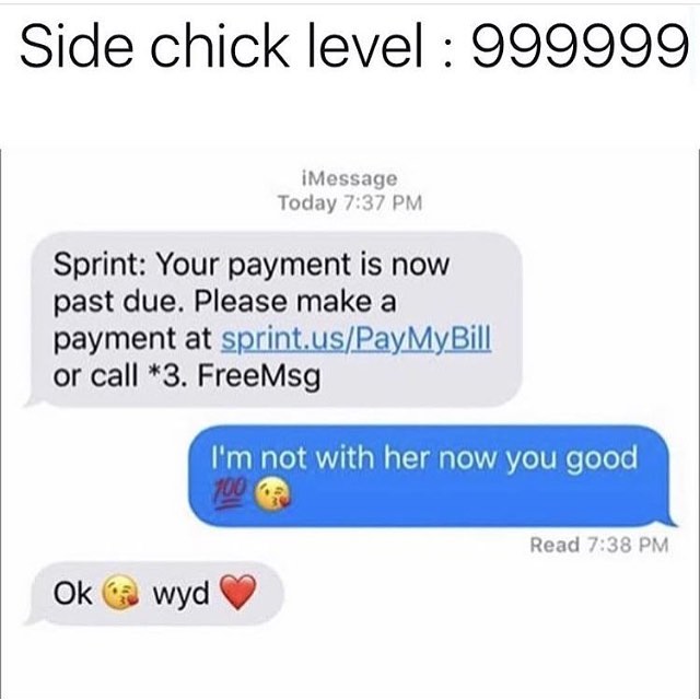 Side chick level maxed out on sprint payment