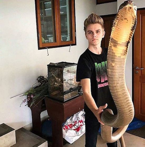 Kid holding a snake that appears huge because of the camera angle