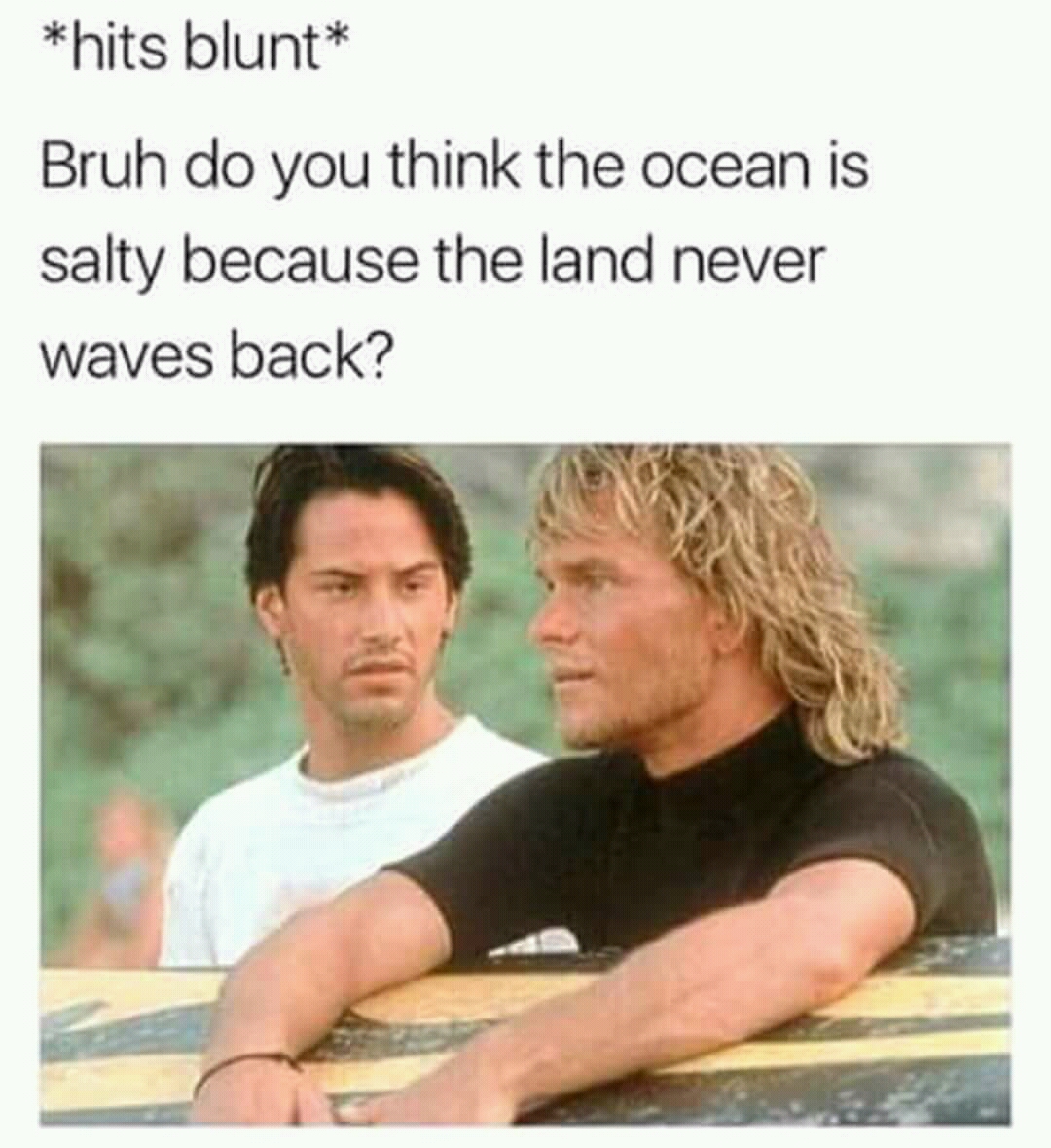 funny savage memes - hits blunt Bruh do you think the ocean is salty because the land never waves back?