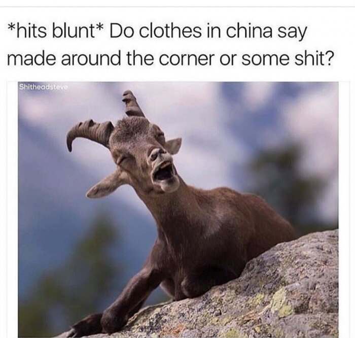 comedy wildlife - hits blunt Do clothes in china say made around the corner or some shit? Shitheadstave