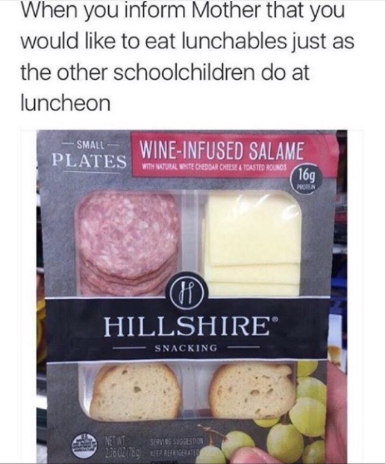 memes - lunchables meme - When you inform Mother that you would to eat lunchables just as the other schoolchildren do at luncheon Small Winelinfused Salame Plates With Natural Ante Cheddar Cheese Toasted Rounds 169 Ch Hillshire Snacking Net Servis 333SEST