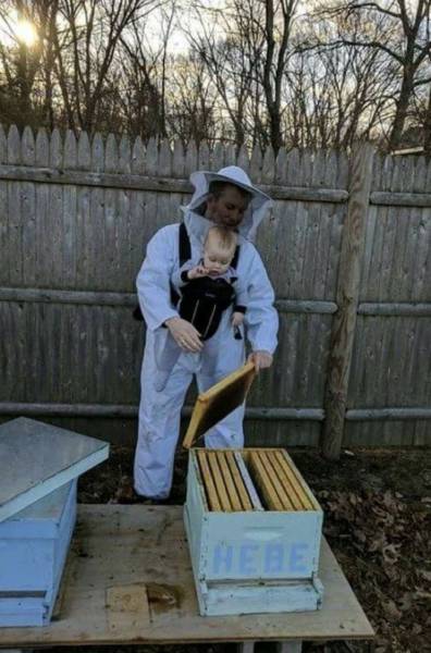 Man with toddler tending to bees.