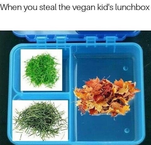 Photoshopped funny meme about when you steal the vegan's kids lunchbox.