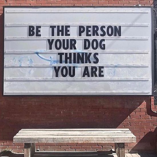 Sign telling you to be the person your dog things you are.