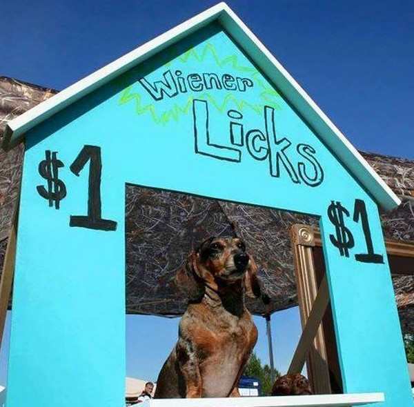 Weiner licks for just $1, as in the dog.