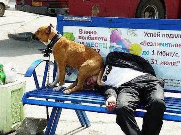 Dog sitting on mans face in Russia