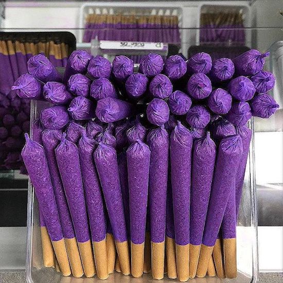 purple joints and lots of them