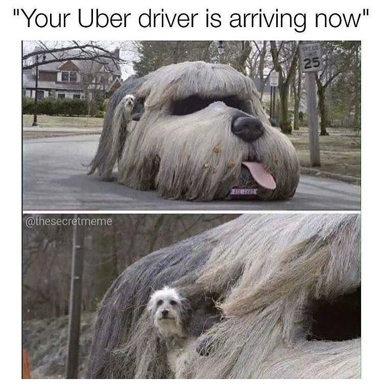 your uber is arriving now meme - "Your Uber driver is arriving now" Foot