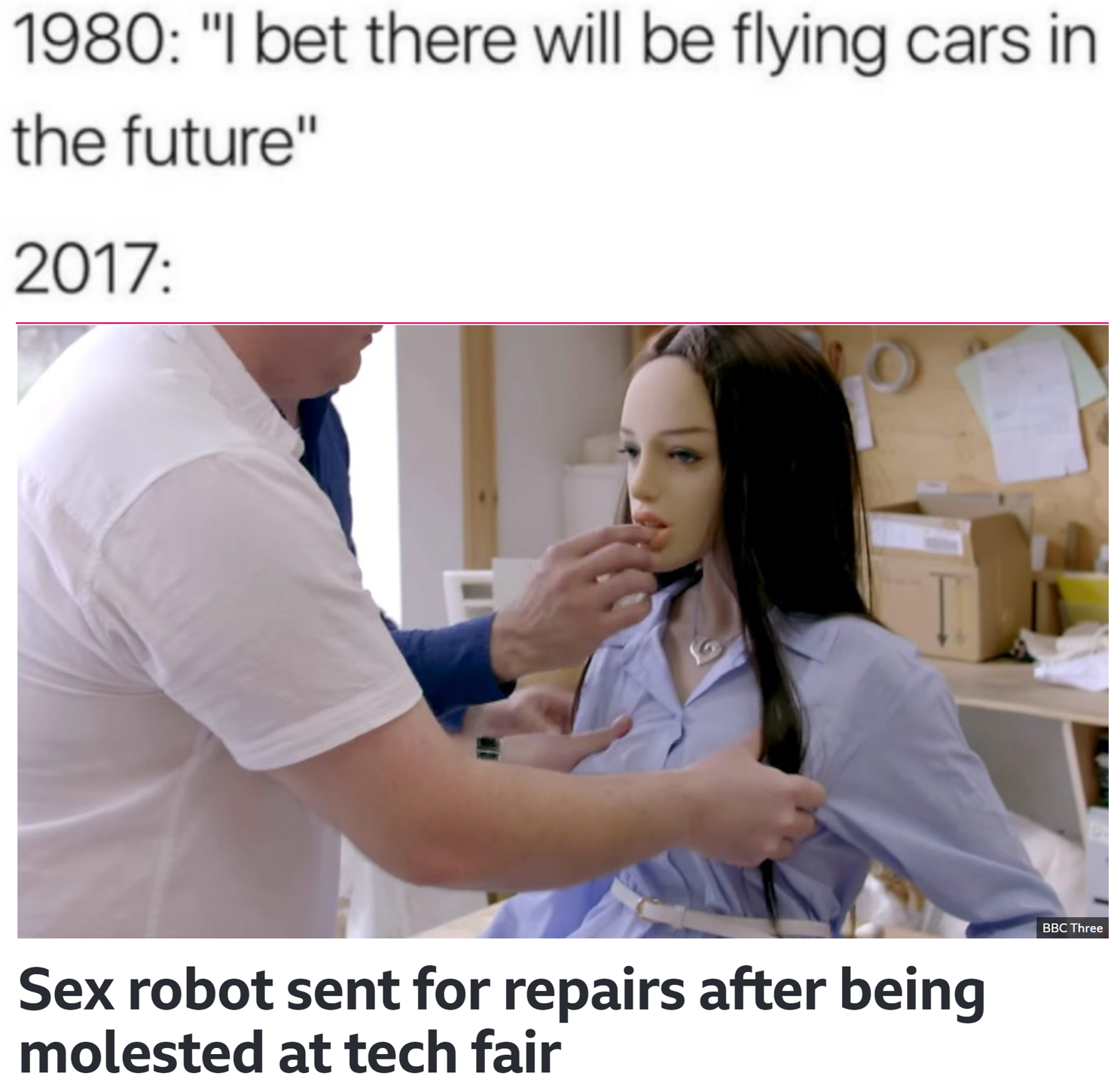 Meme about thinking we will have flying cars in the future back in the 80's but in 2017 we got sex robots being molested at tech fairs.