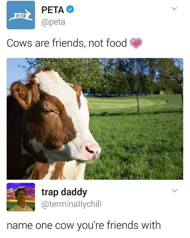 PETA tweets that cows are friends, not food. Trip Daddy challenges them to name one cow they are friends with.