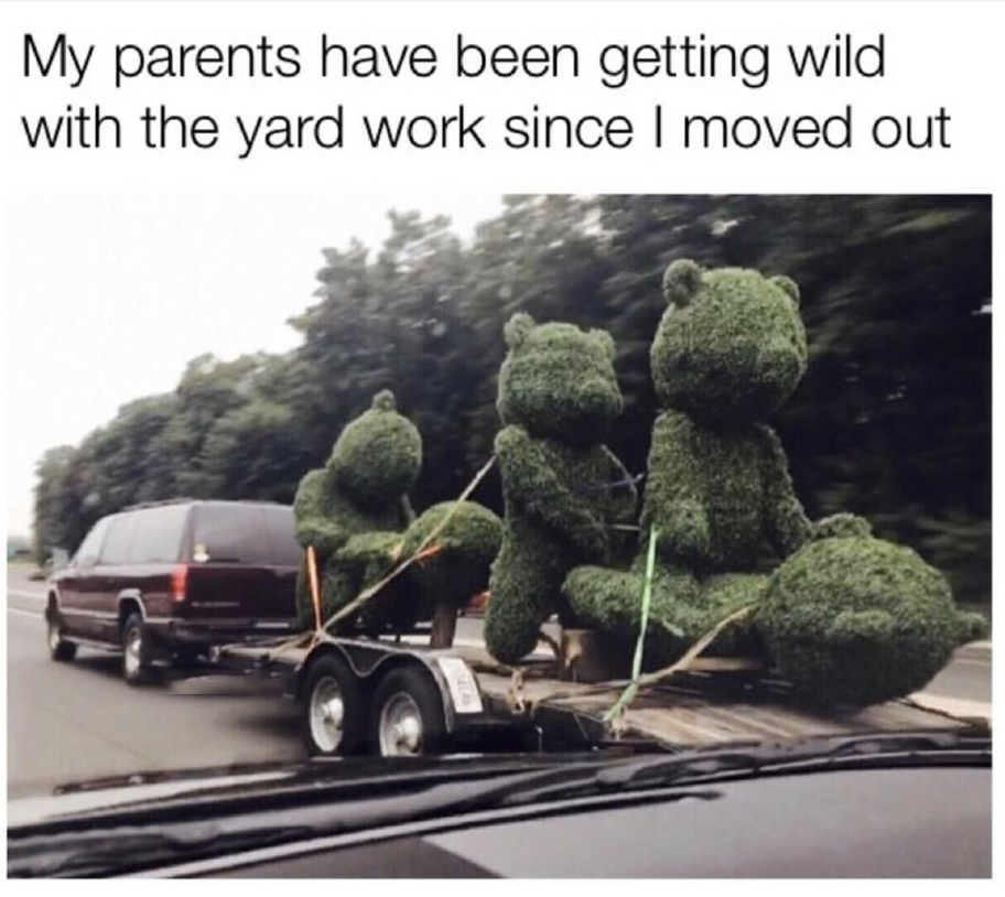 My parents have been getting wild with the yard work since I moved out
