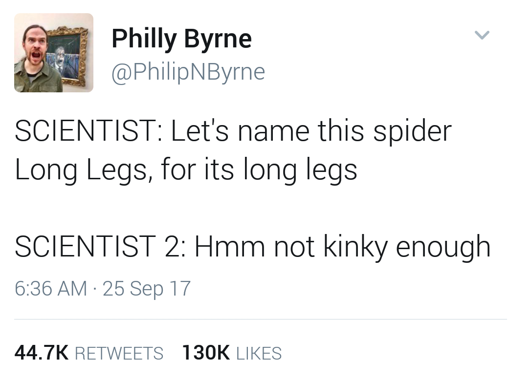 daddy long legs meme - Philly Byrne Scientist Let's name this spider Long Legs, for its long legs Scientist 2 Hmm not kinky enough 25 Sep 17
