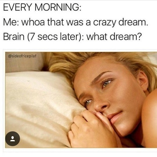 dream meme - Every Morning Me whoa that was a crazy dream. Brain 7 secs later what dream?