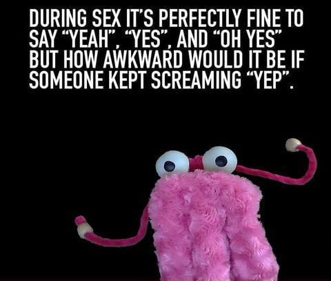 yep yep yep meme - During Sex It'S Perfectly Fine To Say Yeah", "Yes", And Oh Yes" But How Awkward Would It Be If Someone Kept Screaming Yep".